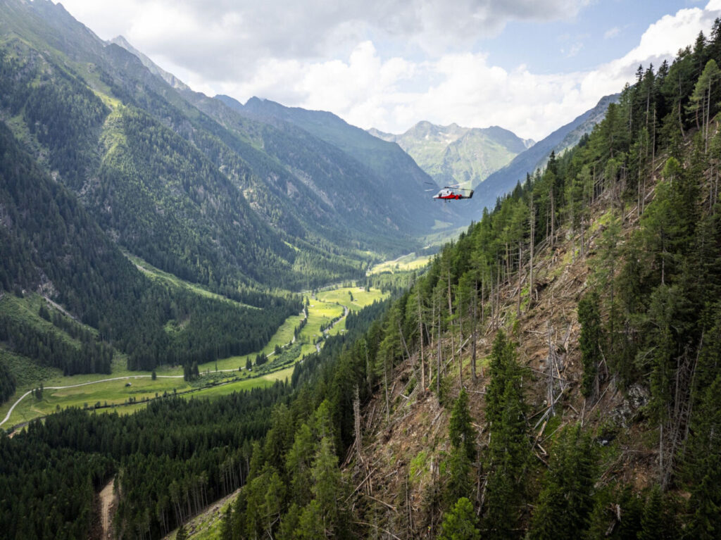 ÖBf-Bilanz: Der Wald ringt mit dem Klimawandel